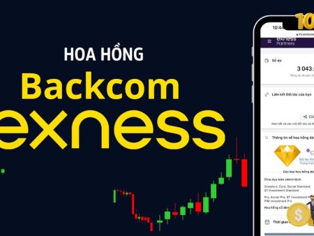 Cách tính hoa hồng Backcom Exness: Chi tiết từ A đến Z