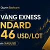 1 lot vàng Exness Backcom bao nhiêu? Standard 10,46 USD/lot