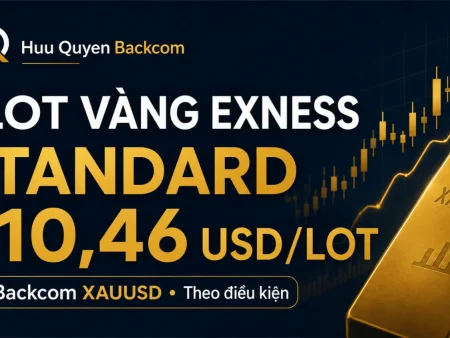 1 lot vàng Exness Backcom bao nhiêu? Standard khoảng 10,46 USD/lot